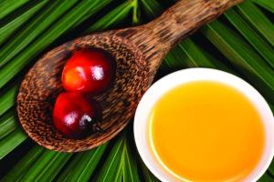 Pressure on palm oil